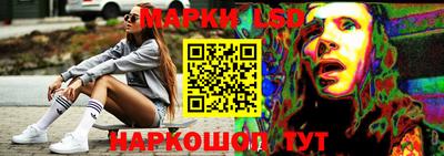 гидра Тулун