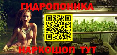 гидра Тулун
