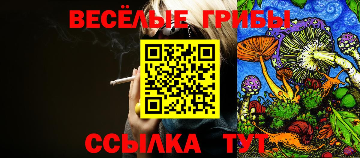 Галлюциногенные грибы мухоморы  Вход с VPN  Ногинск 