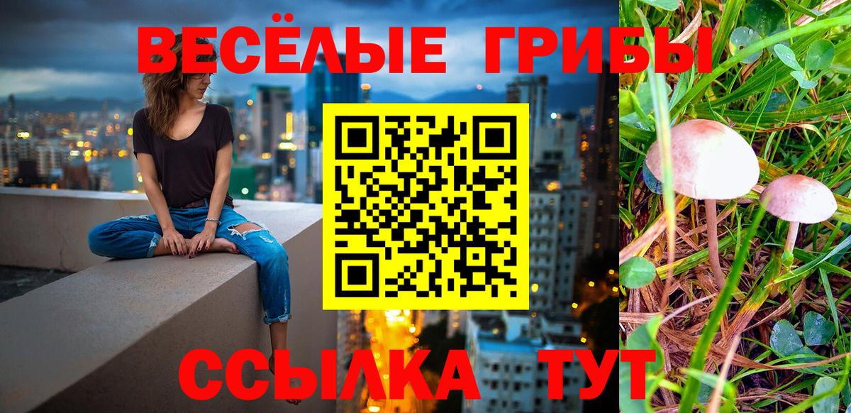 Псилоцибиновые грибы MAGIC MUSHROOMS Ногинск
